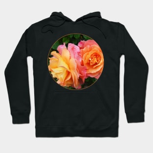 Pink Roses In A Transparent Circle Hoodie